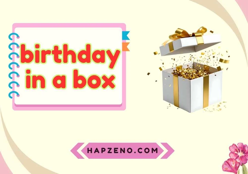 Birthday in a Box Surprises