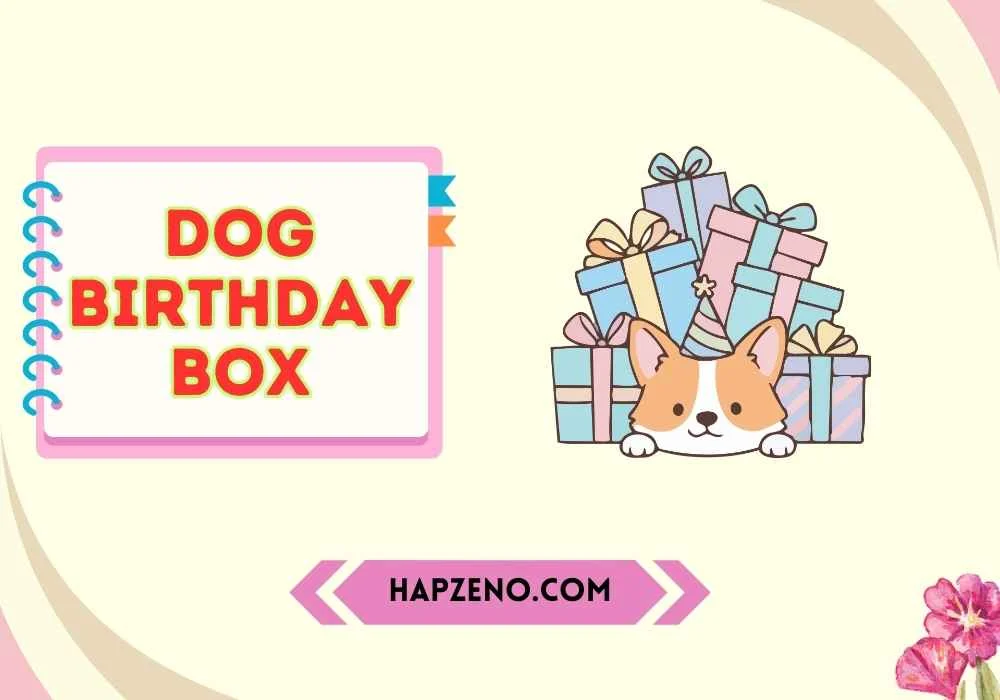 Best Dog Birthday Box
