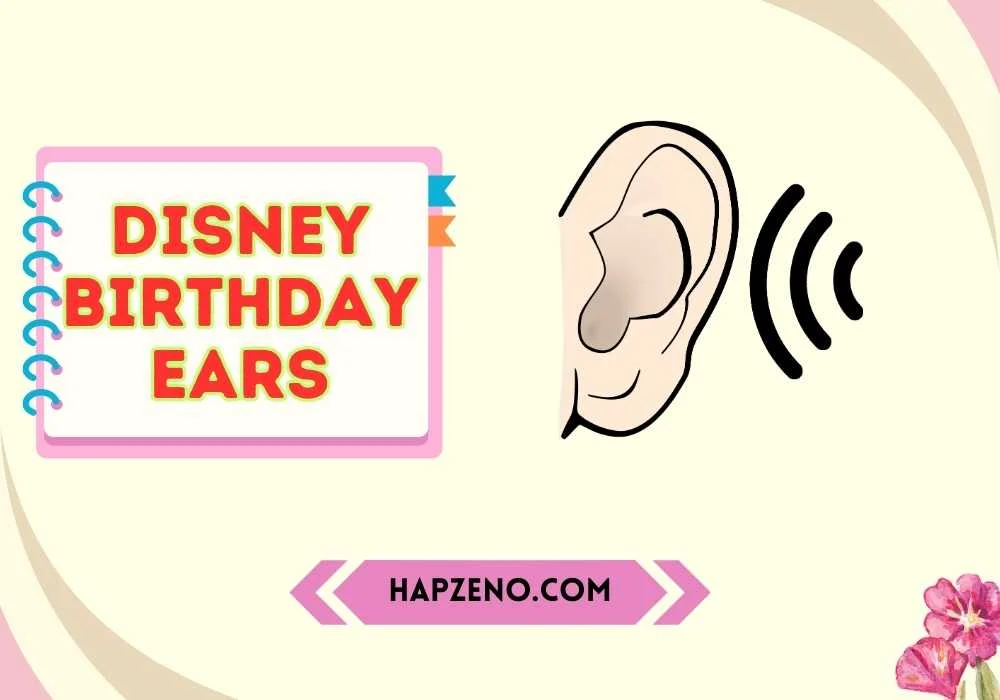 Disney Birthday Ears Ideas