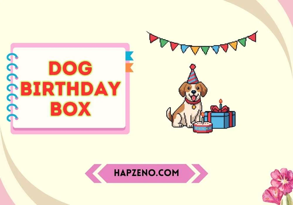 Dog Birthday Box Ideas