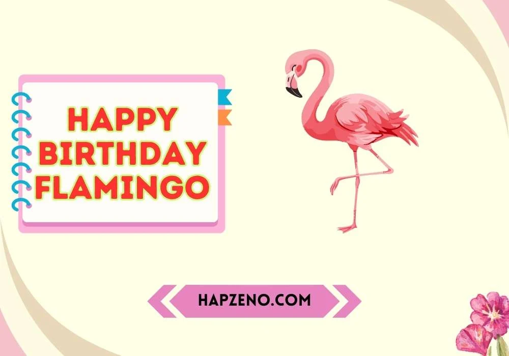 Funny Happy Birthday Flamingo