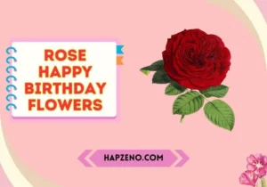 rose happy birthday flowers
