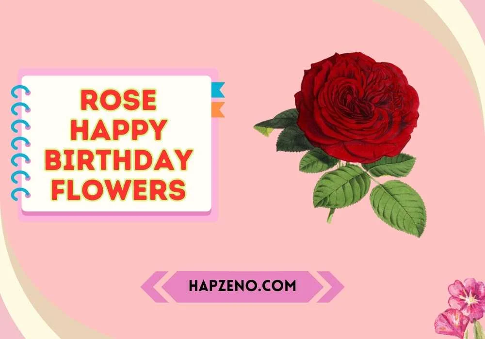 rose happy birthday flowers