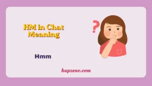 HM in Chat Meaning